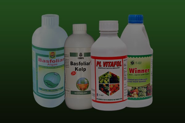 Seaweed Fertilizers